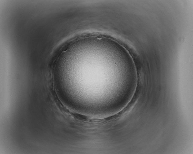 X0000113741494200909301000