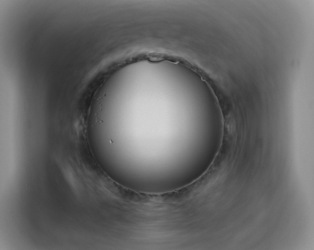 X0000113741495200909301001