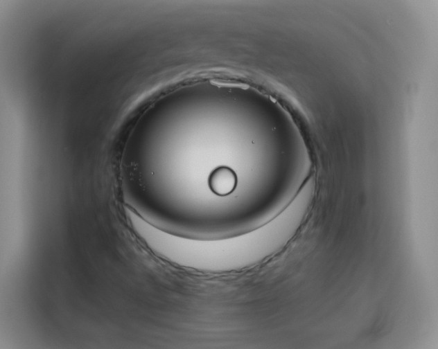 X0000113741496200909301001