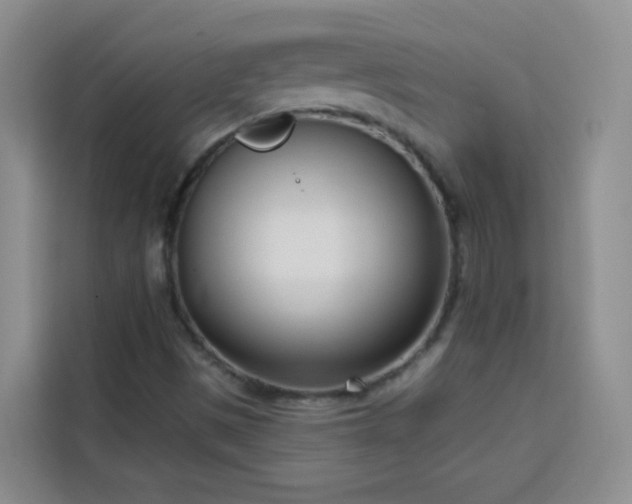 X0000113741497200909301001