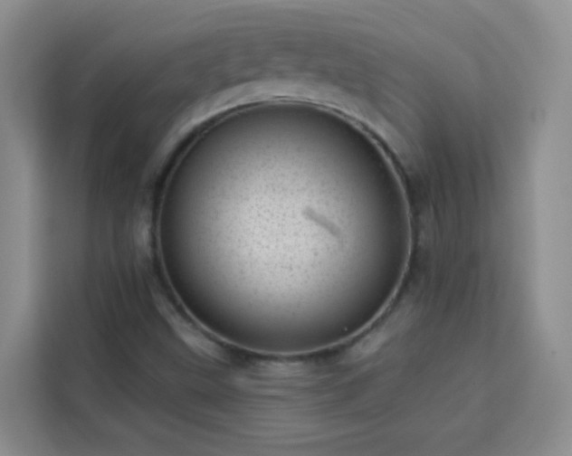 X0000113741499200909301001