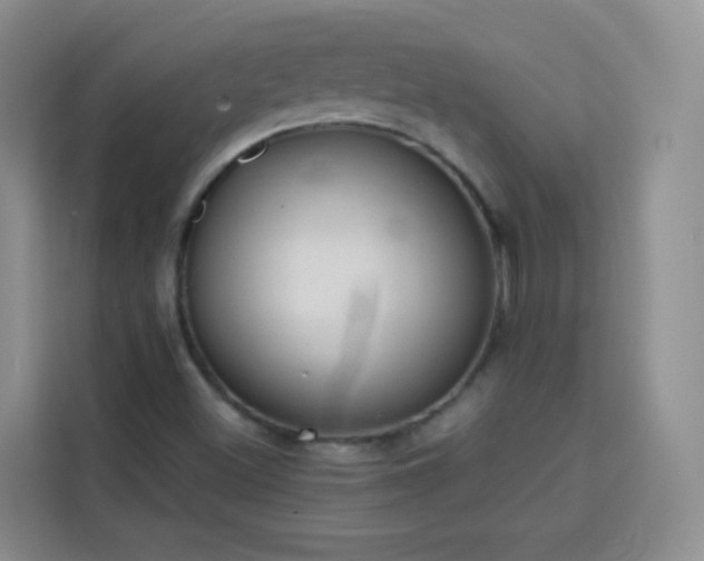 X0000113741500200909301001