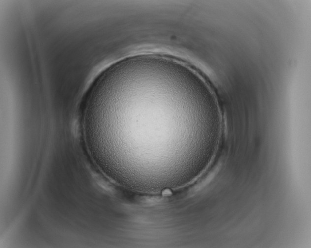 X0000113741501200909301001