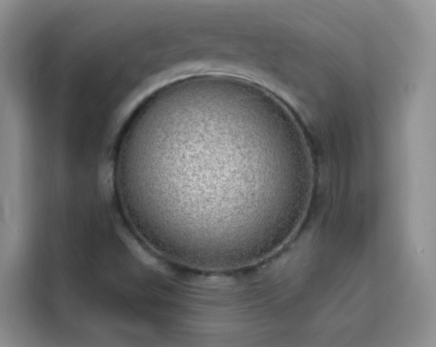 X0000113741503200909301001