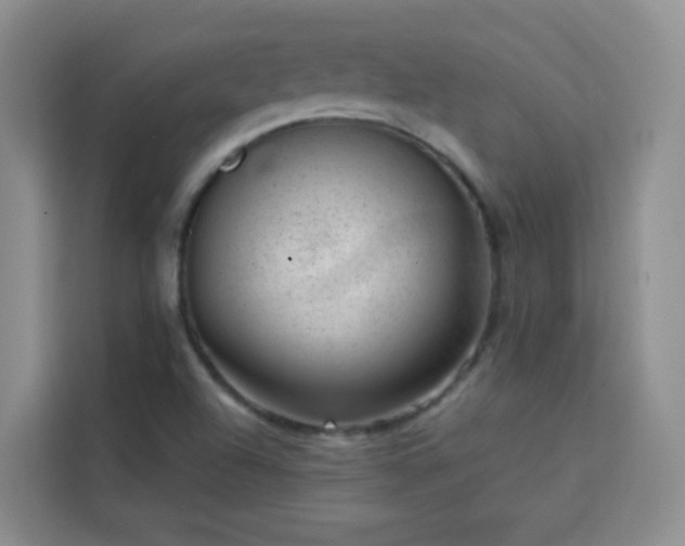 X0000113741504200909301001