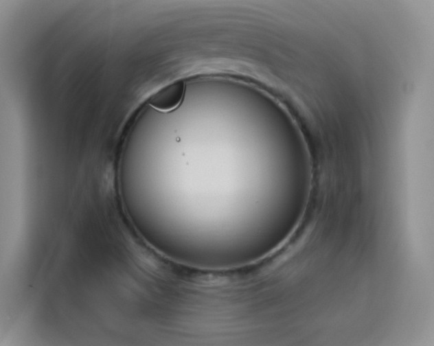 X0000113741505200909301001