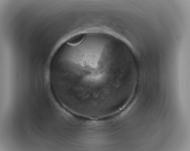 X0000113741506200909301001