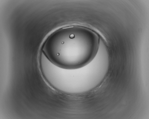 X0000113741508200909301001