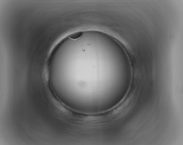 X0000113741510200909301001