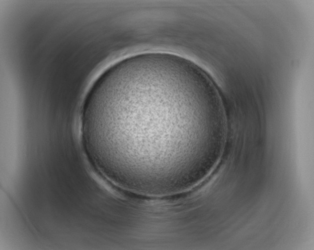 X0000113741511200909301001