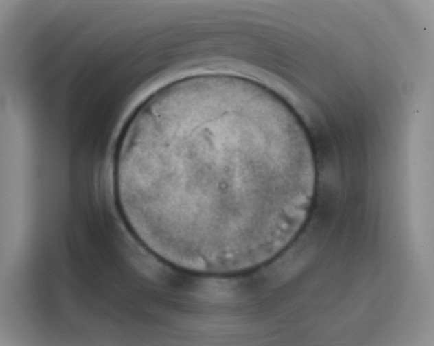 X0000113741514200909301001