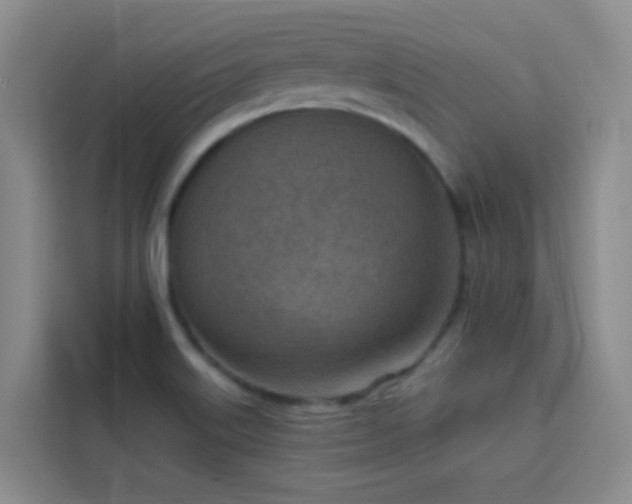 X0000113741515200909301001