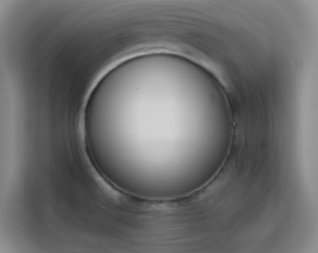 X0000113741516200909301001