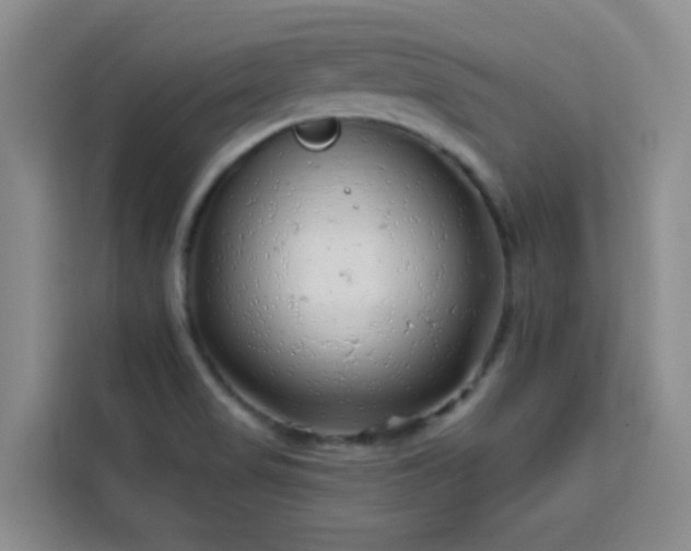 X0000113741517200909301001