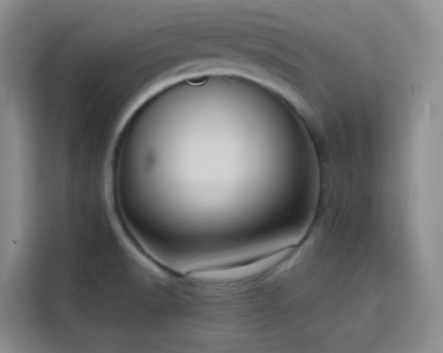 X0000113741518200909301001