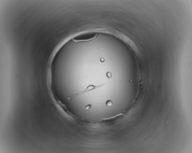 X0000113741520200909301001