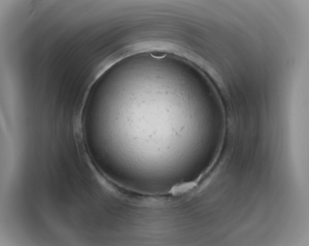 X0000113741521200909301001