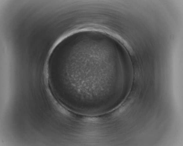 X0000113741522200909301001