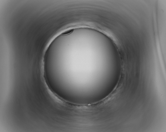 X0000113741524200909301001