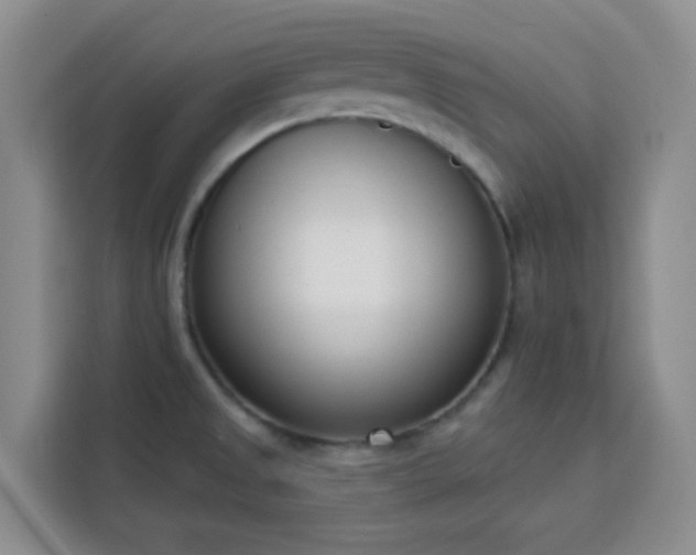 X0000113741525200909301001