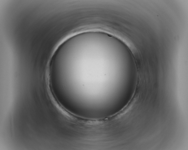 X0000113741526200909301001