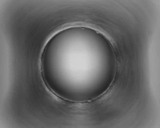 X0000113741527200909301001