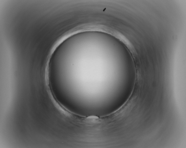 X0000113741528200909301001