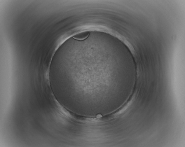 X0000113741529200909301001