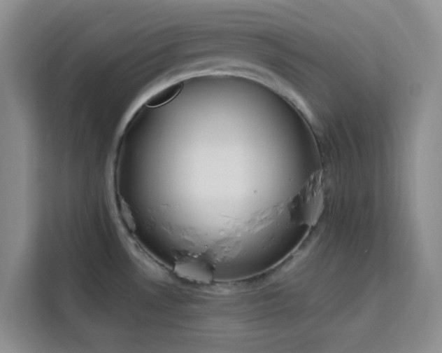 X0000113741530200909301001