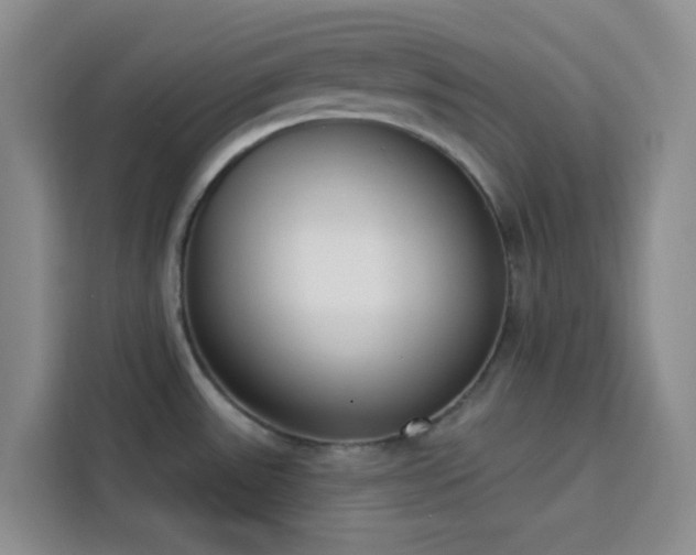 X0000113741531200909301001