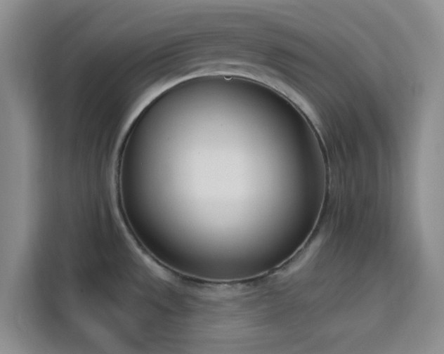 X0000113741533200909301001