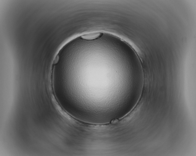 X0000113741534200909301001