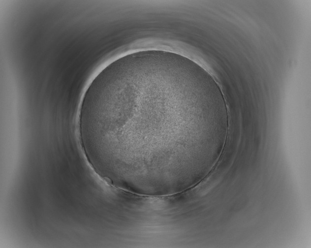 X0000113741536200909301001