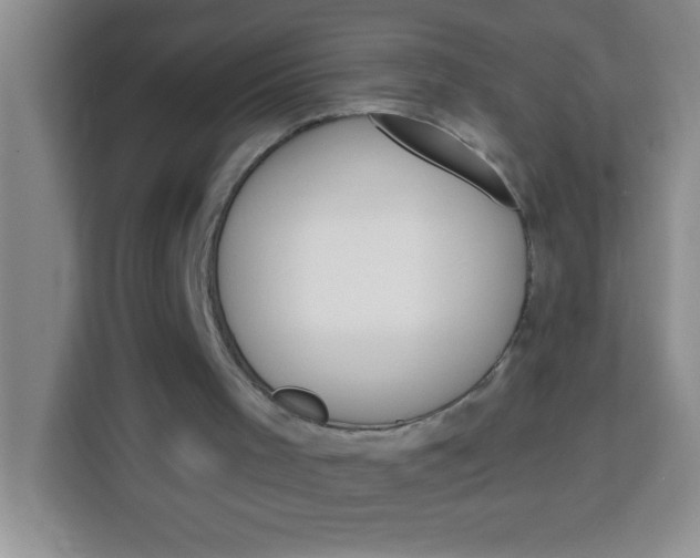 X0000113740001200910071055