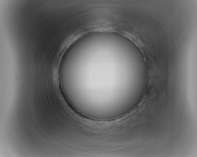 X0000113740002200910071055