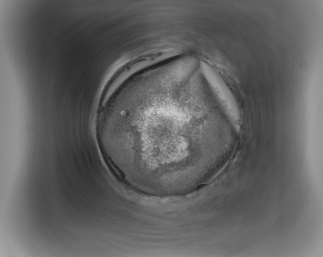 X0000113740003200910071055