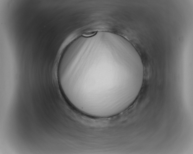 X0000113740004200910071055