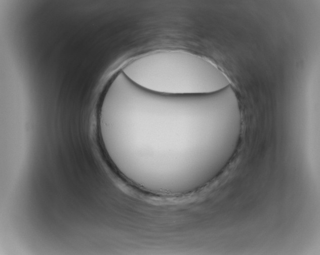 X0000113740005200910071055