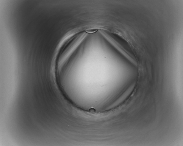 X0000113740006200910071055