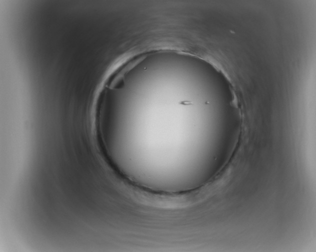 X0000113740008200910071055