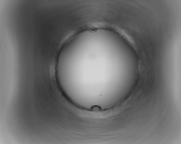 X0000113740010200910071055