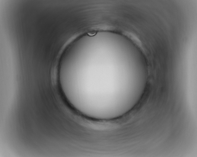 X0000113740012200910071055