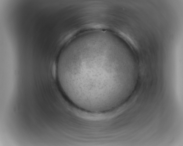 X0000113740014200910071055