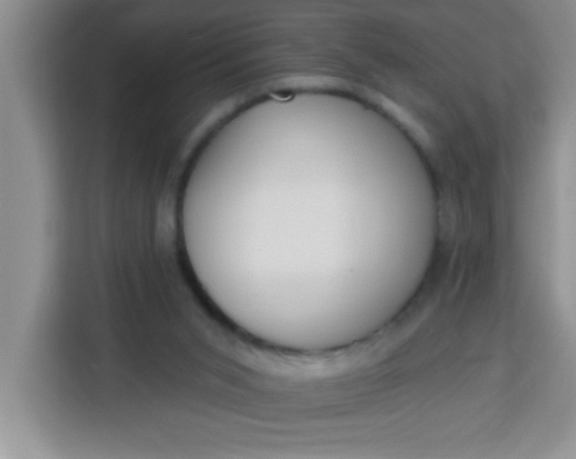 X0000113740015200910071055