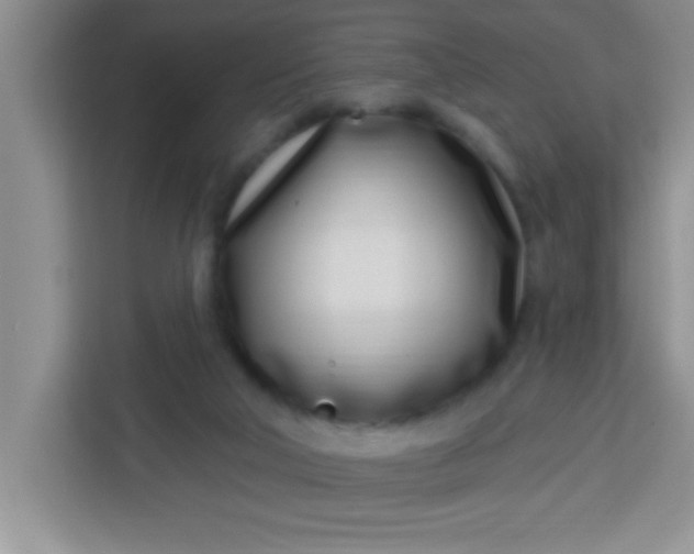 X0000113740018200910071055