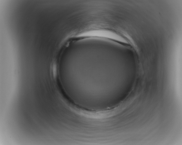 X0000113740019200910071055