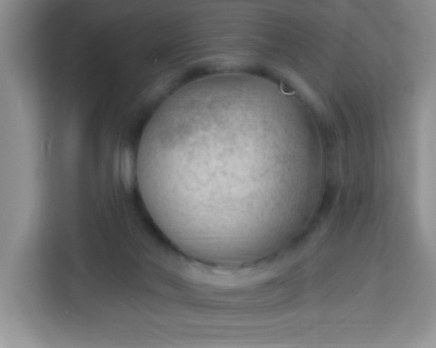 X0000113740022200910071055