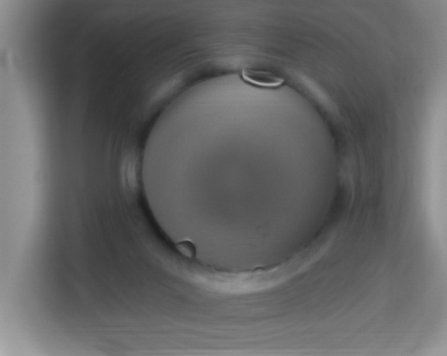 X0000113740023200910071055