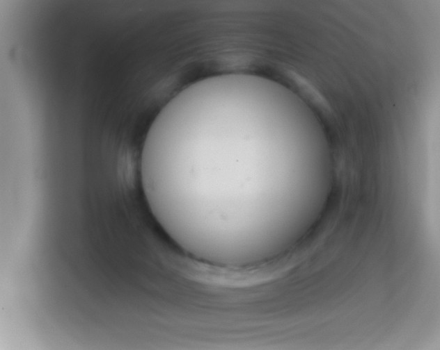 X0000113740026200910071055