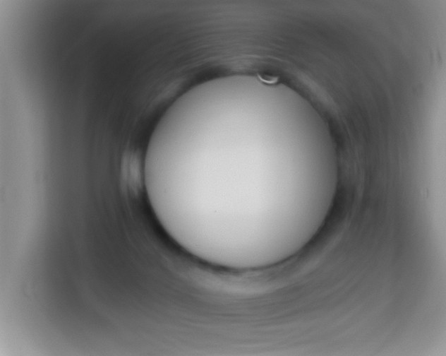 X0000113740028200910071055